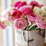 flowers 150x150 2.jpg