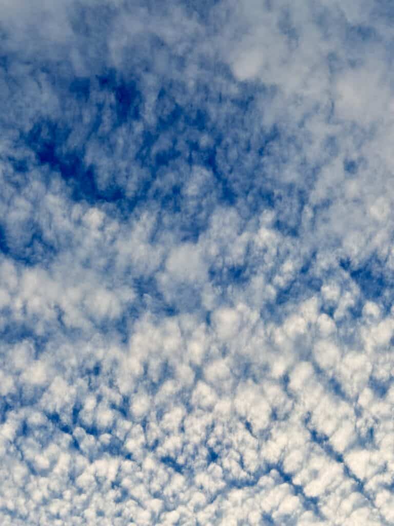 img 4528.jpeg