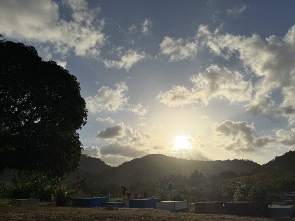 img 1657.jpeg
